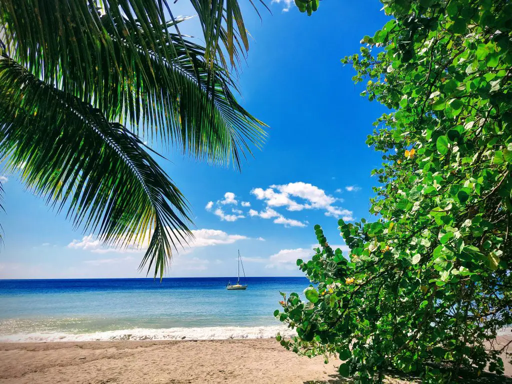 mutuelles aux Antilles