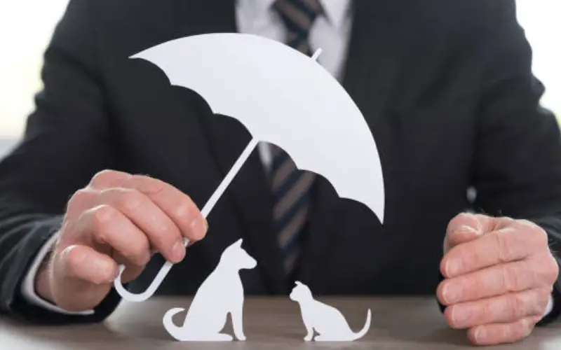 assurance pour chien et chat